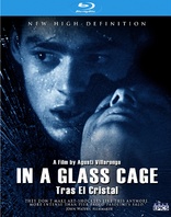 玻璃笼 In a Glass Cage