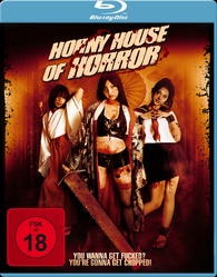 [18+] Horny House of Horror (2010) Hindi (Unofficial Dubbed) 480p [250MB] | 720p [700MB]
