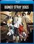 Bungo Stray Dogs: Seasons One and Two (Blu-ray Movie)