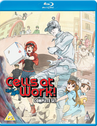 Hataraku Saibou!” and “Cells At Work! Code Black!” Blu-Ray/DVD