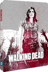 The Walking Dead: The Complete Ninth Season (Blu-ray Movie)