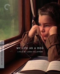 My Life as a Dog Blu-ray (Mitt liv som hund)