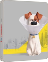 The Secret Life of Pets 2 4K (Blu-ray Movie)