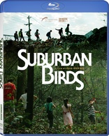 郊区的鸟 Suburban Birds 英文硬字幕