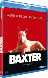 家有酷狗 Baxter