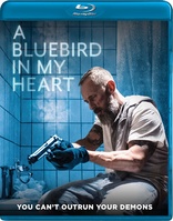 蓝雀栖我心 A Bluebird in My Heart