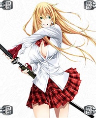 Anime Dubs on X: The English dub for Ikki Tousen: Western Wolves