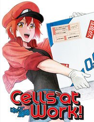 HATARAKU SAIBOU 3 TEMPORADA? CELLS AT WORK 3 TEMPORADA! - SEASON 3 