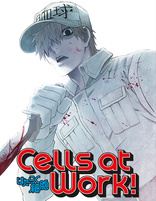 Hataraku Saibou!” and “Cells At Work! Code Black!” Blu-Ray/DVD