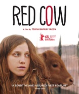 红牝 Red Cow