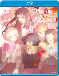 Read Araburu Kisetsu No Otomedomo Yo Online Free