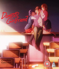Domestic na Kanojo - 07 - 33 - Lost in Anime