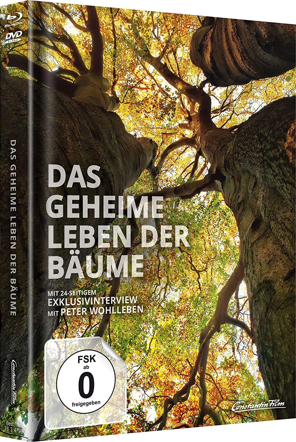 Wohlleben Film Das Geheime Leben Der Baume Neuer Trailer Stern De