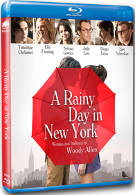A Rainy Day in New York: Woody Allen's Italian Distributor