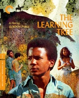 The Learning Tree (Blu-ray)