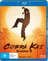 Cobra Kai: Season 3 (DVD)