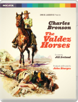 不羁的野马 The Valdez Horses