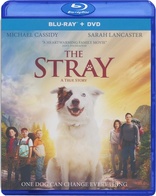 The Stray (Blu-ray Movie), temporary cover art