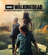 The Walking Dead: The Complete Tenth Season (Blu-ray Movie)