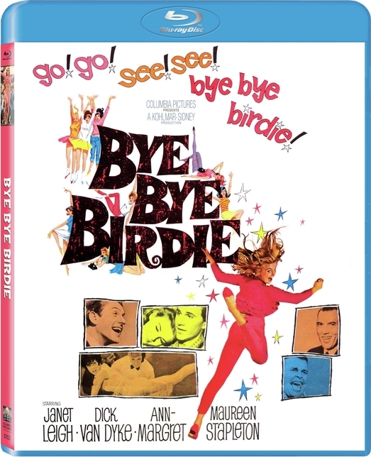 Bye Bye Birdie Blu Ray 7173
