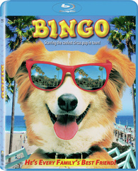 邦楽 HiHi Jets BINGO DVD Blu-ray Amazon.co.jp: 【Blu-ray】 HiHi Jets Arena Tour 2024 BINGO
