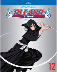 Bleach Episodes 1 - 366 English Dubbed Complete Series 16 Seasons on 36  DVDs