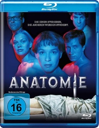 Anatomie d'une chute (édition DVD + Blu-ray) - Bluray Mania