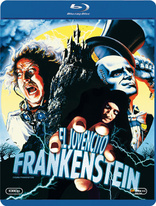 Young Frankenstein (Blu-ray Movie)