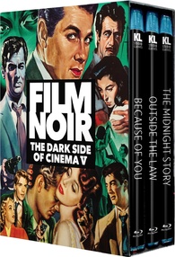 Film Noir: The Dark Side of Cinema V Blu-ray (Because of You / Outside ...