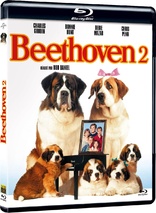 无敌当家2 Beethoven's 2nd