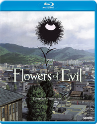 Amazon.com: Flowers of Evil: Complete Collection : Mariya