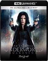 Underworld: Evolution 4K Blu-ray (アンダーワールド2