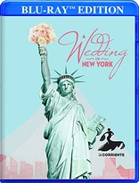 婚礼在纽约 Wedding in New York