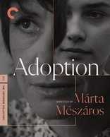 领养 Adoption