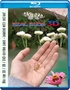 Real Bugs 3D (Blu-ray)