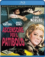 Anatomia di una caduta (DVD) - DVD - Film di Justine Triet Giallo