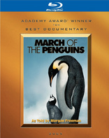 March of the Penguins (Blu-ray Movie)