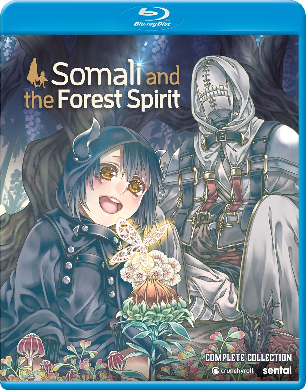 Four More Cast Members Join the Journey in Somali and the Forest Spirit TV  Anime - Crunchyroll News