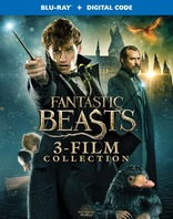 Fantastic Beasts and Where to Find Them Blu-ray (Blu-ray + DVD)
