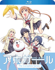 Aho Girl The Complete Series Blu Ray アホガール Limited To 2 000