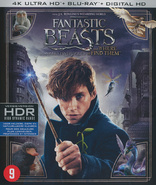 Fantastic Beasts and Where to Find Them 4K (Blu-ray Movie)