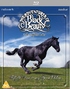 The Adventures of Black Beauty: The Complete Series (Blu-ray)