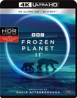 Hook (1991) 4K Ultra HD Blu-ray 2-Disc US Release Dustin Hoffman