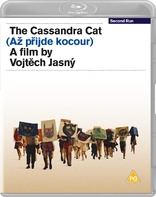 一日一猫 The Cassandra Cat