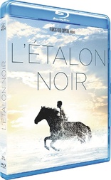 The Black Stallion (Blu-ray Movie)