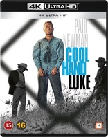 Cool Hand Luke 4K (Blu-ray Movie)