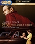 Rebel Without a Cause 4K (Blu-ray)