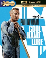 Cool Hand Luke 4K (Blu-ray Movie), temporary cover art