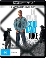 Cool Hand Luke 4K (Blu-ray Movie)