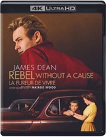 Rebel Without a Cause 4K (Blu-ray Movie)